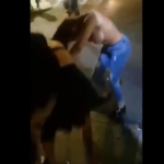 Great Tits, Girl Fight