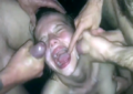 Cum Slut Taking Cum Facials While Getting Gang Banged