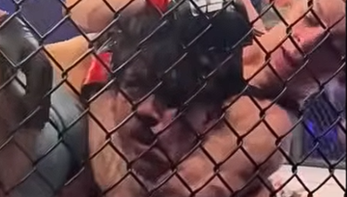 Worlds Sexiest Pro Female Fighters Most Brutal Choke Finishes